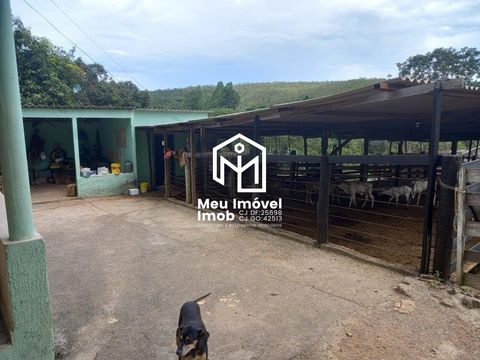 Foto Fazenda / Sítio / Chácara