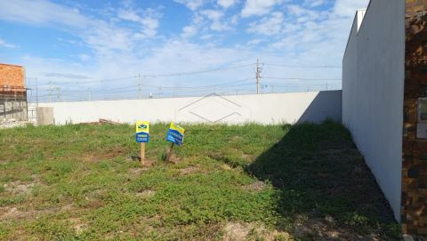 Foto Terreno