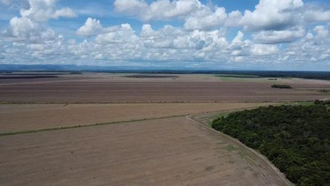 Foto Fazenda / Sítio / Chácara