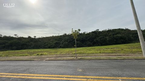 Foto Terreno