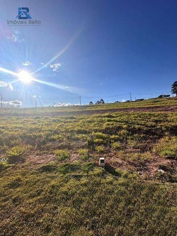 Foto Terreno