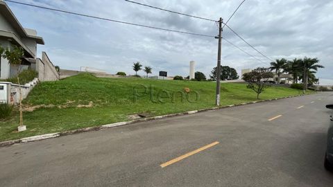 Foto Terreno