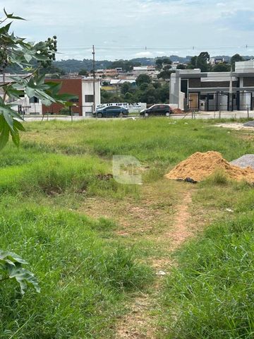 Foto Terreno