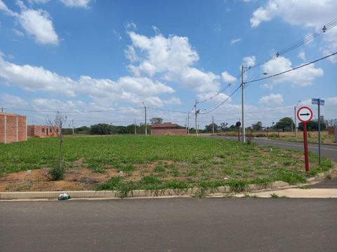 Foto Terreno