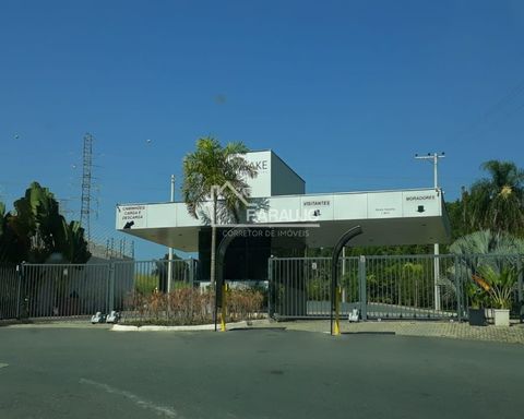 Foto Terreno