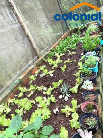 Foto Fazenda / Sítio / Chácara