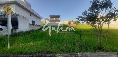 Foto Terreno