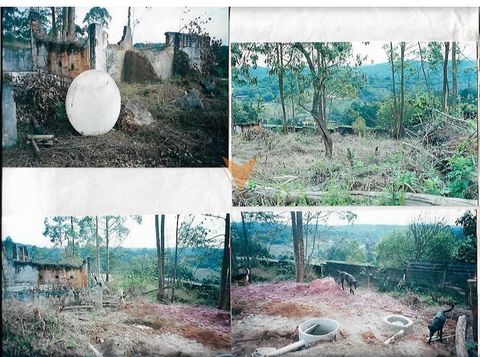Foto Terreno