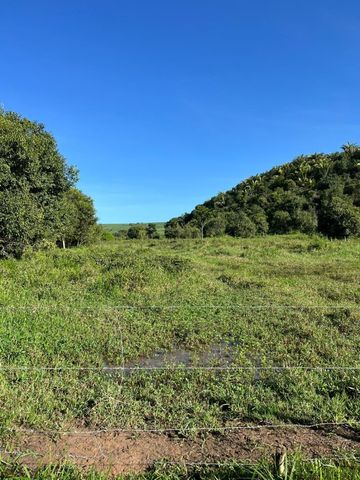 Foto Fazenda / Sítio / Chácara