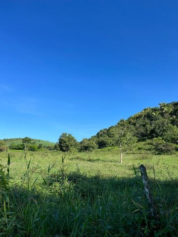 Foto Fazenda / Sítio / Chácara