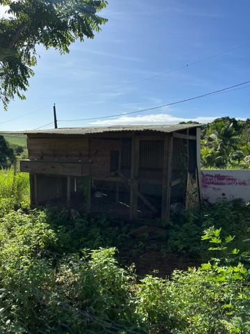 Foto Fazenda / Sítio / Chácara