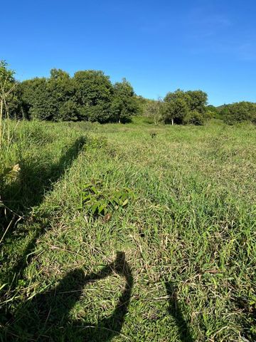 Foto Fazenda / Sítio / Chácara