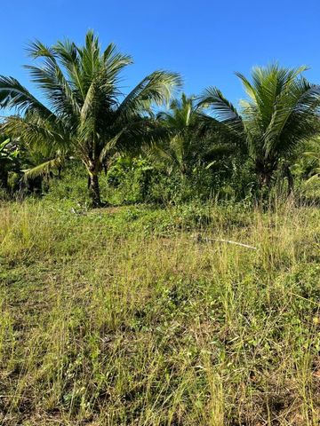 Foto Fazenda / Sítio / Chácara