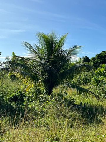 Foto Fazenda / Sítio / Chácara
