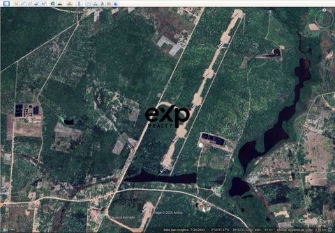 Foto Fazenda / Sítio / Chácara