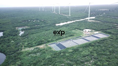 Foto Fazenda / Sítio / Chácara