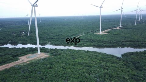 Foto Fazenda / Sítio / Chácara