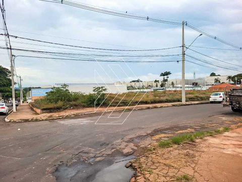 Foto Terreno