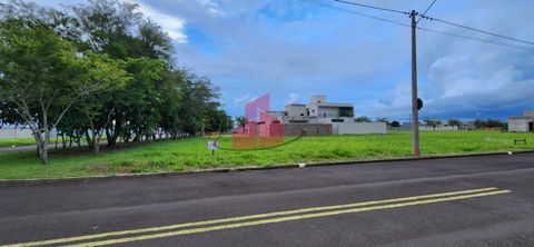Foto Terreno