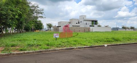 Foto Terreno