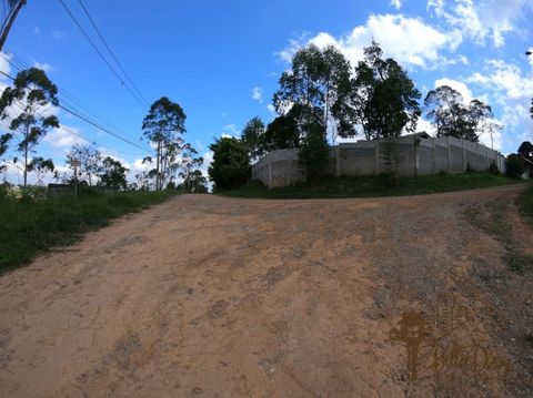 Foto Terreno