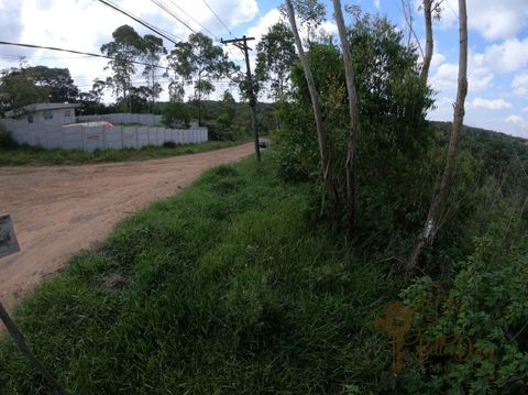 Foto Terreno