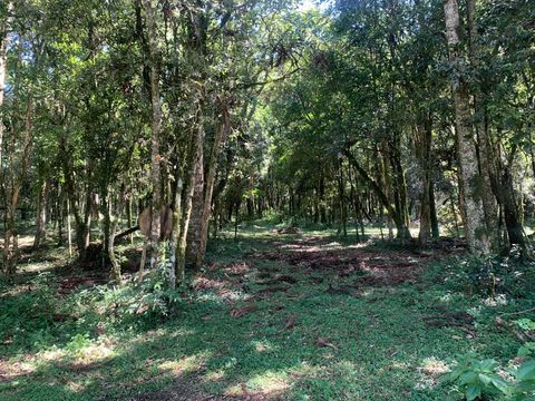 Foto Terreno