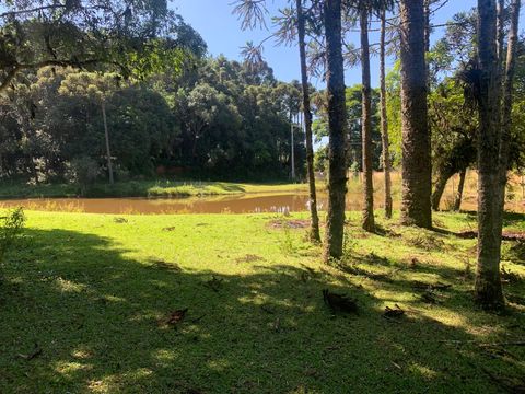 Foto Terreno