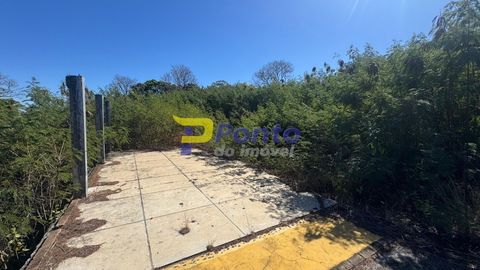 Foto Terreno