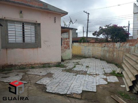 Foto Terreno