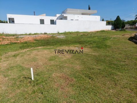 Foto Terreno