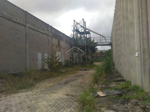 Foto Galpão / Depósito / Armazém / Pavilhão