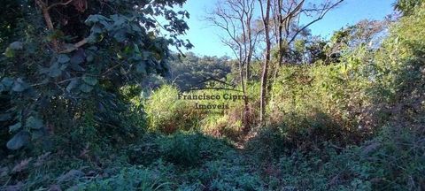 Foto Terreno