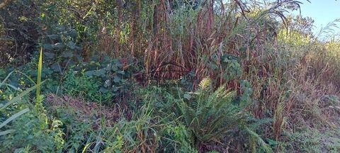 Foto Terreno
