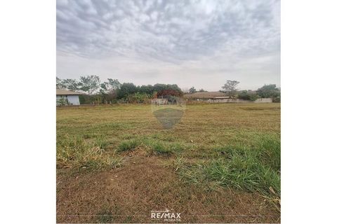 Foto Terreno