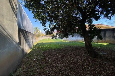 Foto Terreno