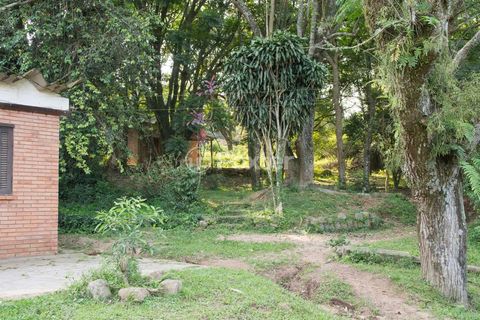 Foto Fazenda / Sítio / Chácara