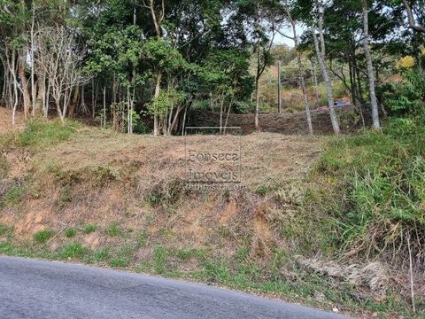 Foto Terreno