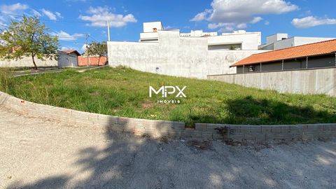 Foto Terreno