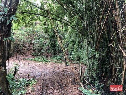 Foto Terreno