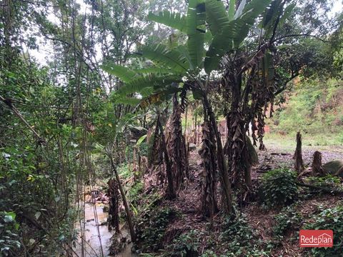 Foto Terreno