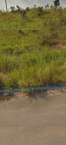 Foto Fazenda / Sítio / Chácara