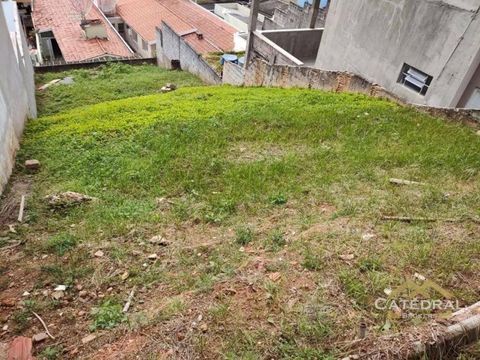 Foto Terreno