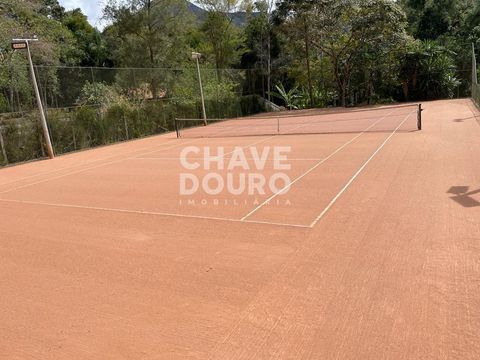 Foto Terreno