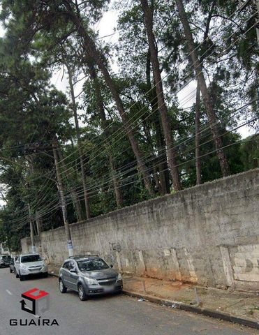 Foto Terreno