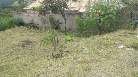 Foto Terreno