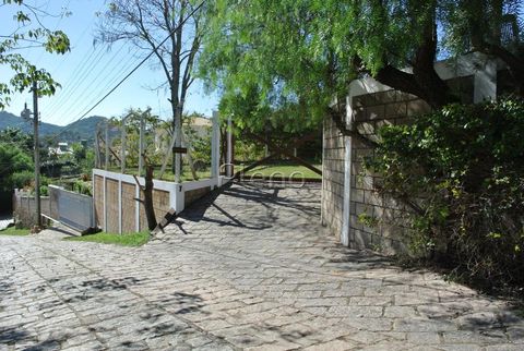 Foto Fazenda / Sítio / Chácara