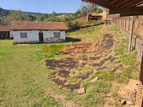 Foto Fazenda / Sítio / Chácara
