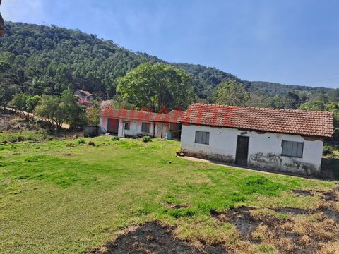 Foto Fazenda / Sítio / Chácara