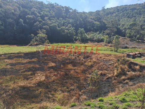 Foto Fazenda / Sítio / Chácara